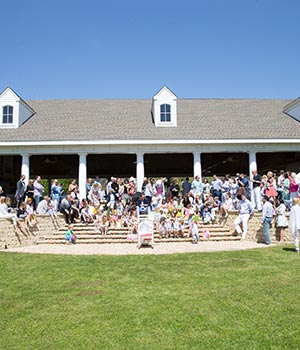 Gallery12